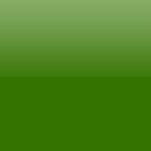 Green Low Lead Metallic Luster Glass Enamel 4401M