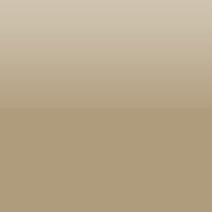 Satin Bronze Low Lead Metallic Luster Glass Enamel 4620M